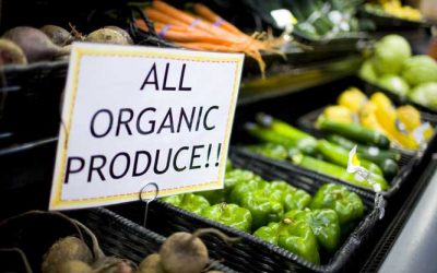 Denmark Intends To Be The World’s FIRST 100% Organic Nation